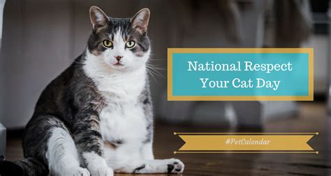 Pet Calendar: National Respect Your Cat Day - Positively Woof