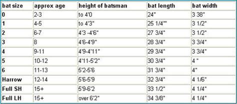 Your Personal Guide to Cricket Bat Sizes | Zeepk Sports