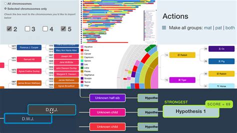 New features for maps, trees and WATO at DNA Painter