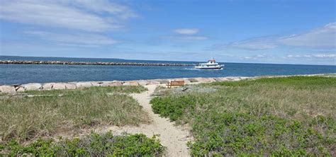 Montauk County Park Beach Camping, Montauk | Roadtrippers