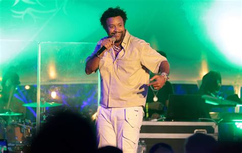 Shaggy says fans have always misunderstood 'It Wasn't Me’