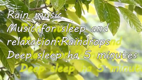 Relaxing Sound of Rain Music for Sleep - YouTube