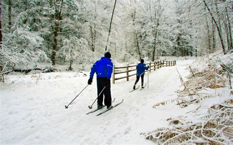 Winter Activities in Maine | Your Guide to Winter Fun at Wolf Cove Inn