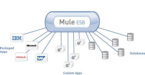 Mule Esb Architecture Diagram - Wiring Diagram Pictures