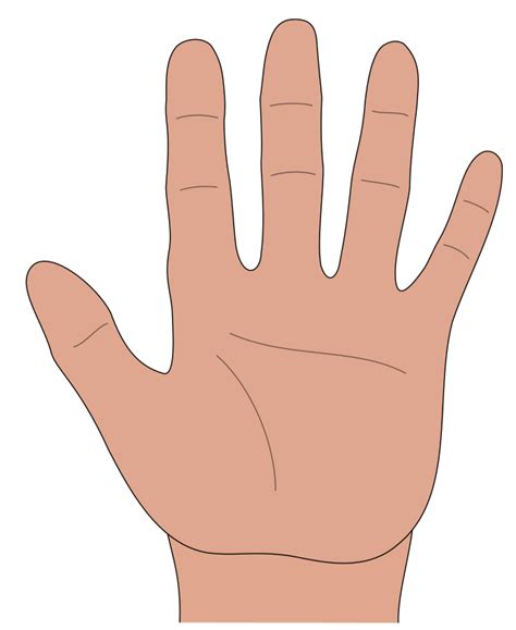 Hand open - Openclipart