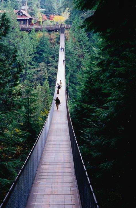 Capilano Suspension Bridge | Capilano suspension bridge, Suspension ...