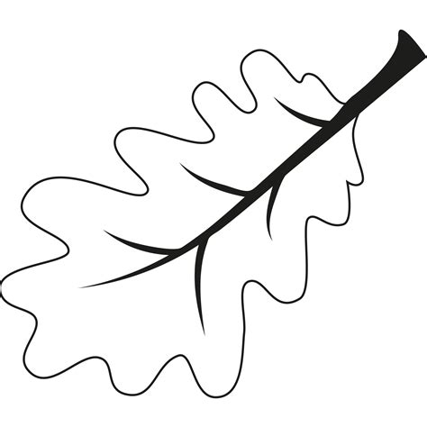 Oak leaf. Outline illustration of oak leaf 14059342 PNG