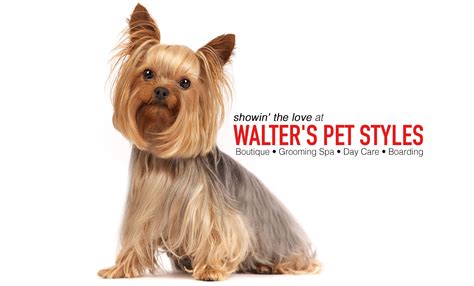 Walter's Pet Styles