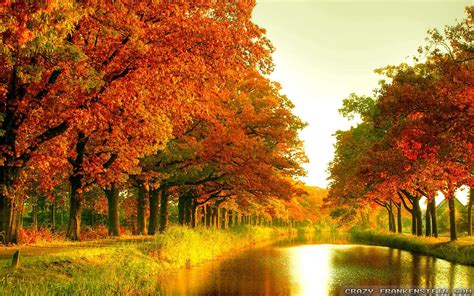 Seasonal Wallpapers - WallpaperSafari