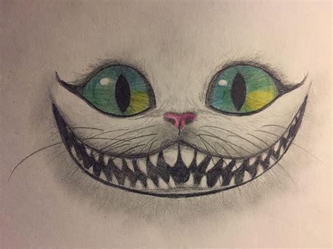 Cheshire Cat | Cheshire cat drawing, Cat sketch, Cat drawing