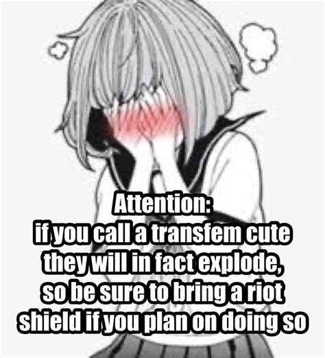 Riot shield : r/traaaaaaannnnnnnnnns