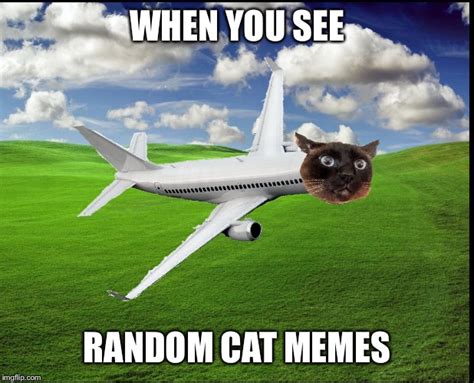 Plane Cat - Imgflip