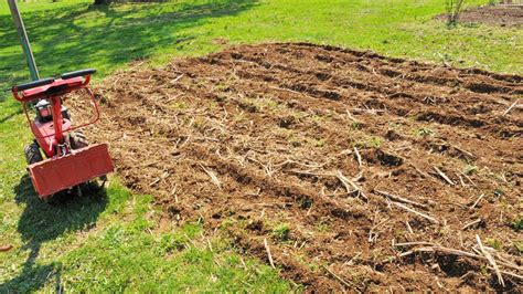 Is Tilling Bad for Soil? - Urban Farmers