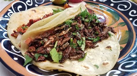 [I ate] Grasshopper tacos (chapulines) : food