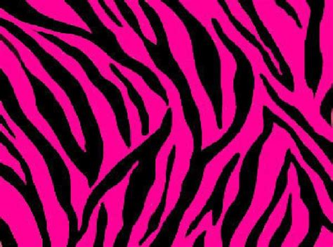 🔥 [50+] Zebra Stripes Wallpapers | WallpaperSafari