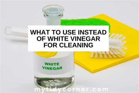 What to Use Instead of White Vinegar for Cleaning