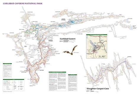 Carlsbad Caverns Maps