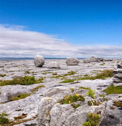 The Burren | Walking Trails Clare | 4 Star Shannon Springs Hotel