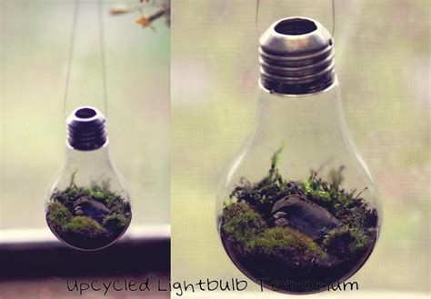 Making a Light Bulb Terrarium | ThriftyFun