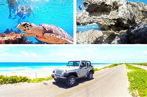 COZUMEL CRUISE EXCURSIONS - PRIVATE TOURS (2024) All You Need to Know BEFORE You Go (with Photos ...