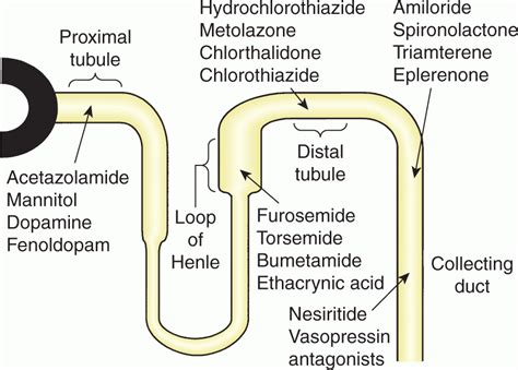 Diuretics | Abdominal Key