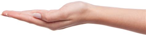 Holding Hands PNG HD Transparent Holding Hands HD.PNG Images. | PlusPNG