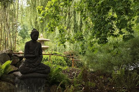 Royalty-Free photo: Japan, zen, garden, buddha | PickPik