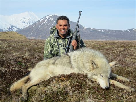 Alaska Fall Wolf & Wolverine Combo Hunt