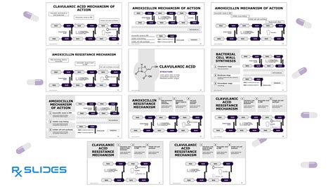 Amoxicillin Clavulanic Acid PowerPoint Template - RxSlides - The largest online store for ...