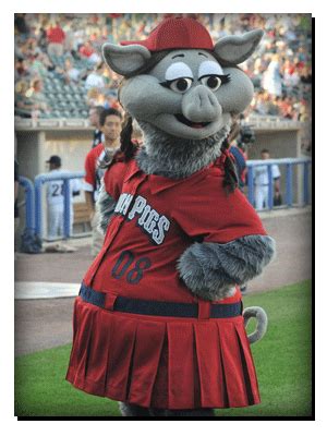 Mascots | Lehigh Valley IronPigs FanZone | Mascot, Lehigh valley, Minor league baseball