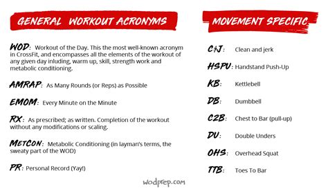 CrossFit For Beginners: What To Expect (And What Happened To Me)