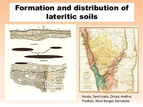 Lateritic Soils and Constraints in crop production