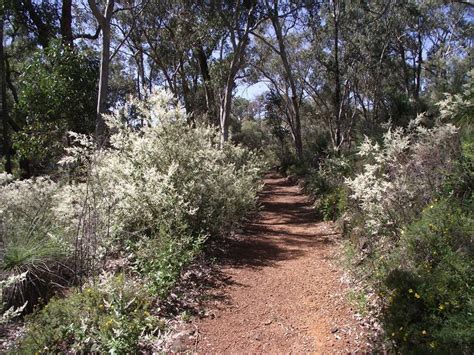 Yanchep National Park - The best walk trails | Inspiration Outdoors