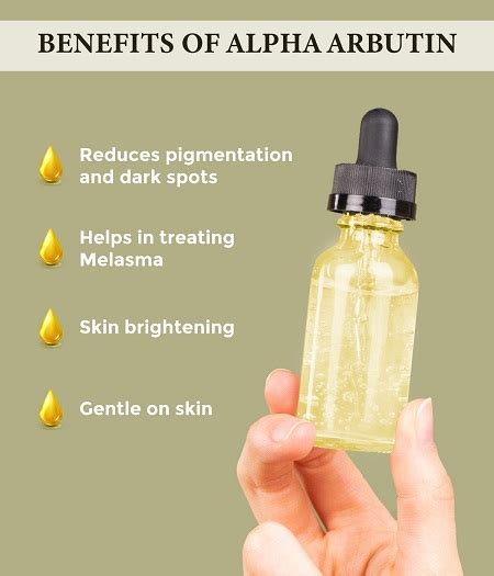 Alpha arbutin benefits for skin - ZHENYIBIO