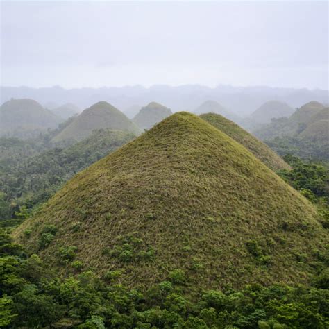 Tarsier Conservation Area (Bohol, Philippines) | Choose Your Adventure