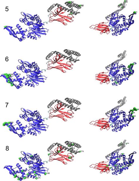 Learning protein constitutive motifs from sequence data | eLife