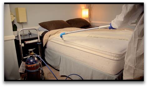 Bed Bug Removal Information – Eradication and Prevention – Things you should know