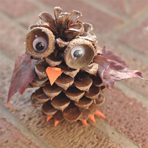 Pine Cone Owl