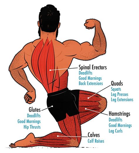 The Best Leg Day Workout for Building Muscle