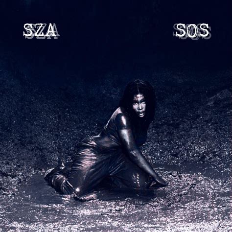 SOS Album cover high-res pic/as a poster available somewhere? : r/sza