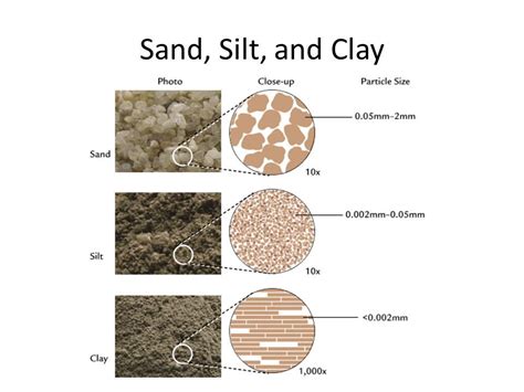 Soil Type Soils have different characteristics that make them unique. Knowing the kind of soil ...