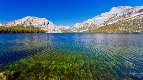 Tenaya Lake Yosemite National Park Wallpapers | HD Wallpapers | ID #29209