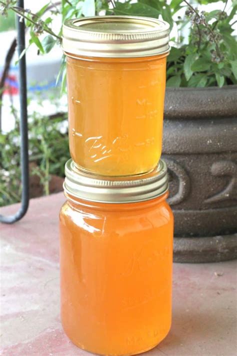 Apricot Jelly Canning Recipe - Creative Homemaking