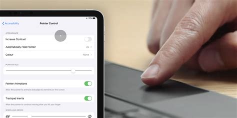 How to customize the mouse cursor on iPad: tracking speed, animations ...