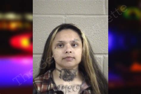 Maria Pimentel | Whitfield County Jail Bookings