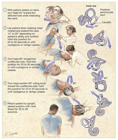 The Journal of the American Osteopathic Association | Physical therapy exercises, Physical ...
