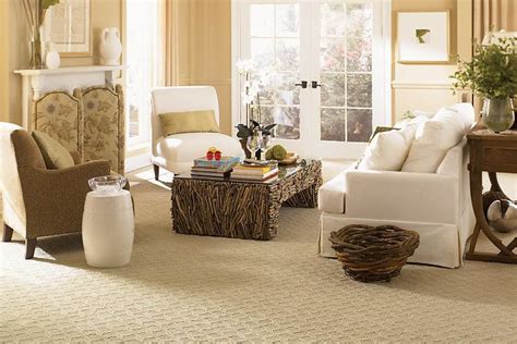 Carpet - Traditional - Living Room - Chicago - by Lowell Carpet and ...