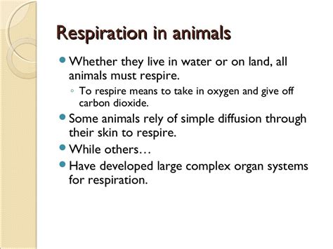 Comparative anatomy respiratory system