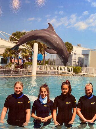 DOLPHIN WORLD (Miami) - All You Need to Know BEFORE You Go