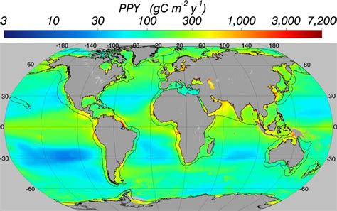 The distribution of the mean net annual Primary Productivity throughout... | Download Scientific ...